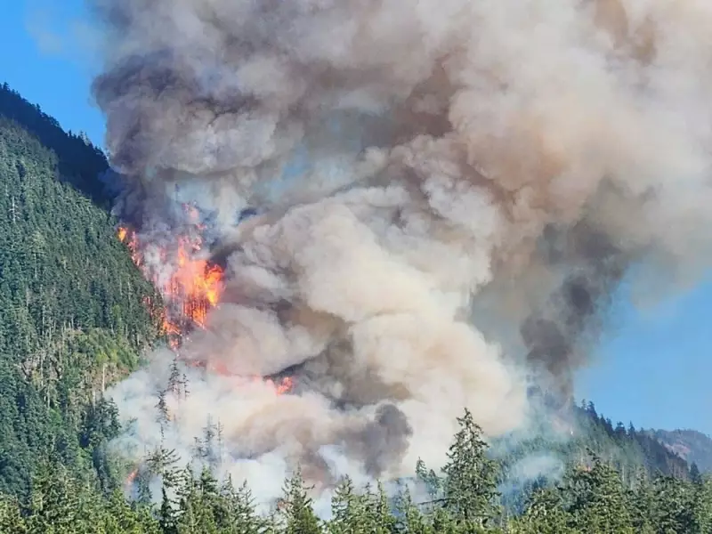 Wildfire Smoke Claims 1400 Canadian Lives Annually, New Climate Report Reveals