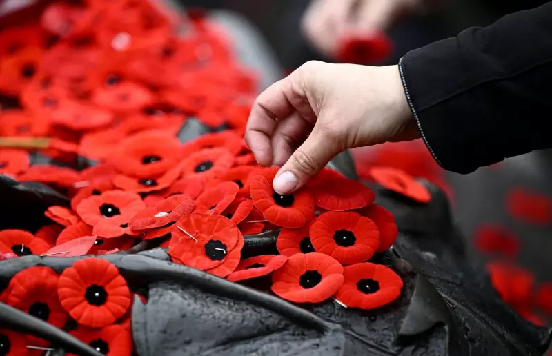 Windsor-Essex Remembrance Day 2025: What's Open and Closed