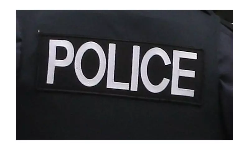 Windsor Police Arrest Wanted Man After Fleeing Traffic Stop