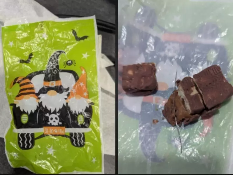 Windsor Police Issue Alert: Needle Found in Halloween Candy