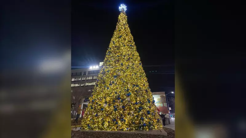Winnipeg's 50-Foot Christmas Tree Illuminates City Hall for Holiday Season