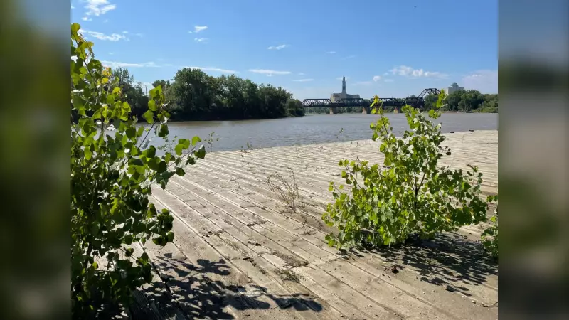 Winnipeg's Alexander Docks to Undergo Partial Demolition for Revitalization