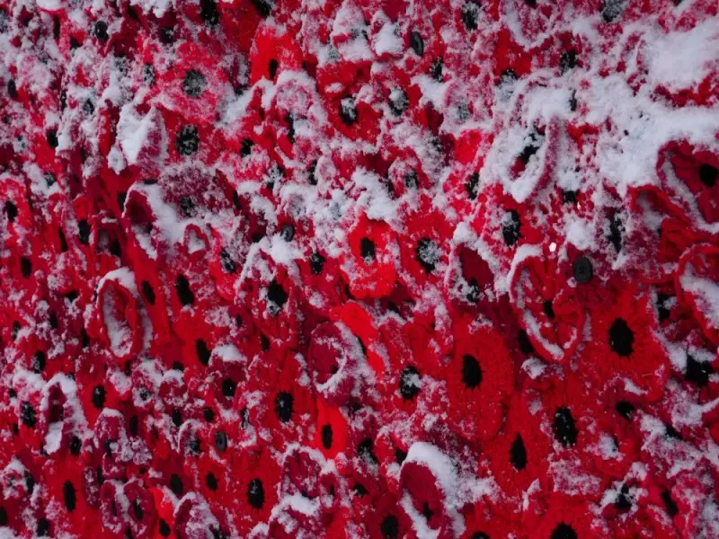 Winter Weather Travel Advisory Issued for Toronto and GTA