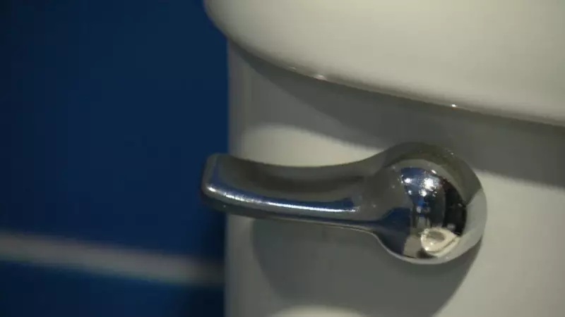World Toilet Day 2025: Edmonton Urges Responsible Flushing Habits