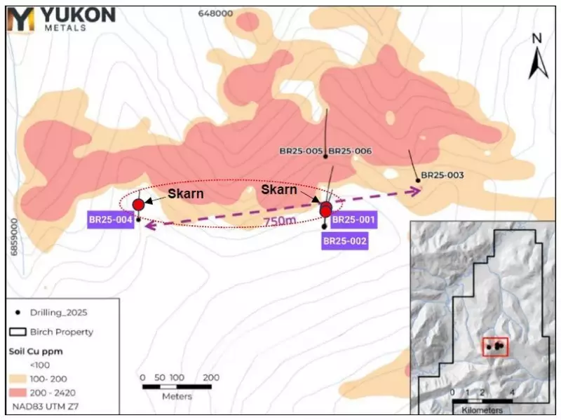 Yukon Metals Expands Copper-Gold Mineralization at Birch Project