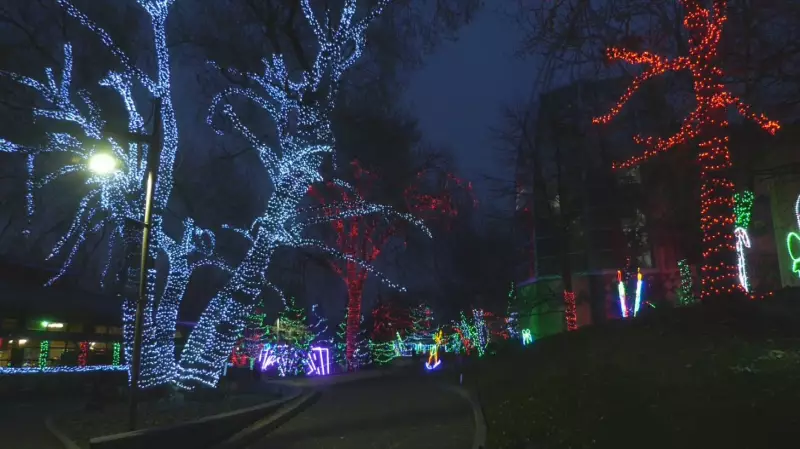 Zoolights 2025 Returns to Calgary Zoo: Magical Winter Display