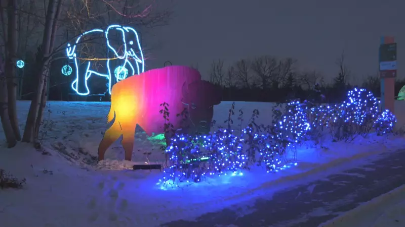 Zoominescence: Edmonton Valley Zoo's 13th Annual Light Festival Returns