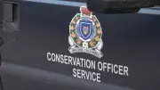 17 Charges Laid in Major B.C. Wildlife Trafficking Investigation
