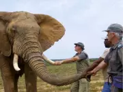 5 Must-See B.C. Films at the 25th Whistler Film Festival