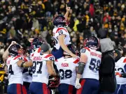 Alouettes' Team Culture Fuels Grey Cup Run, GM Danny Maciocia Reveals