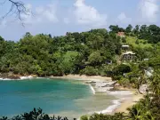 American Man Killed in Tobago After Going to Buy Marijuana