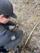 Bella Coola Bear Attack Prompts School Lockdown and Door-to-Door Safety Measures