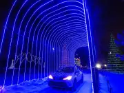 BHP Enchanted Forest Final Walk Night: What Saskatoon Visitors Need to Know