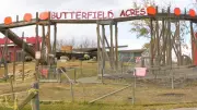 Butterfield Acres Reopens After Avian Influenza Closure in Calgary