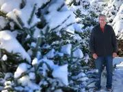 Calgary and Edmonton Christmas Tree Lots Sell Out Early Amid High Demand