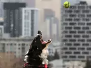 Calgary Weekend: Christmas Markets, Flames vs. Jets, and Snowy Scenes