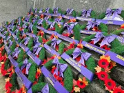 Canada's 2025 National Remembrance Day Ceremony Honors the Fallen