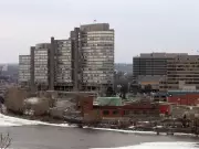 Canada's Public Service Cuts Risk Losing Vital Knowledge, Experts Warn