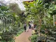 Canada's Weekend News Roundup: Sports, Politics & Community Events