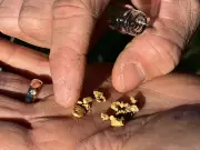 Canadian Mining Giants Coeur and New Gold Face Market Turbulence: What Investors Need to Know