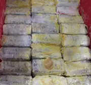 CBSA Seizes 200kg of Cocaine Hidden in Paint Pigment Shipment in Vancouver