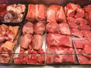 Cloned Meat Revolution: Is This the Future of Canadian Food?