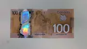 Counterfeit Money Circulating in Windsor-Essex: Police Alert