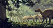 Dinosaur Sex Secrets Revealed: Mating Injuries Provide First Evidence of Gender Identification