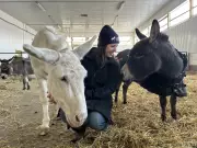Donkey Sanctuary of Canada Launches Innovative Educational Tool