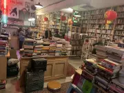 Edmonton Winter Fun: Book Flood, Winterval & ESO Concerts