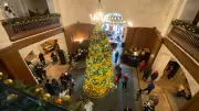 Edmonton's Hotel Macdonald Lights 2025 Christmas Tree for Charity