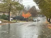 Halifax Police Operation Sparks Major Road Closure - What We Know