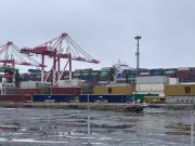 Halifax Port Bust: CBSA Intercepts Massive 800kg Drug Shipment Bound for UK