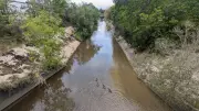 Kitchener Cleans Up Environmental Spill at Schneider Creek