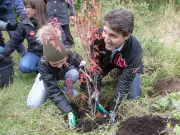 Liberals Axe Trudeau's Two Billion Tree Pledge | Climate Promise Broken