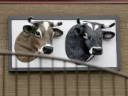 Louis Pasteur's Milk Myth: The Surprising Truth About Pasteurization