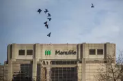 Manulife Expands to India Insurance Market in Strategic Diversification