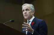 Mark Carney Draws Economic Parallels From Toronto Blue Jays' World Series Ambitions
