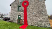 Martintown Mill Displays 1,500 Poppy Wreath for Remembrance