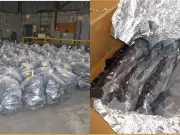 Massive 2,700 kg Cannabis Seizure at Montreal Port as Smuggling Soars