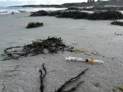 Medical Waste Washes Up on Nova Scotia's Crystal Crescent Beach