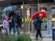 Montreal's November Rain: A Temporary Respite Before Winter's Return