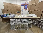 Newfoundland Police Seize $1M in Contraband Cigarettes, Arrest 3