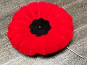 Nova Scotia Courts Defend Poppy Ban, Sparking National Debate