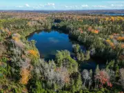 Nova Scotia Nature Trust Races to Save Rare Coastal Ecosystem Along Bras d'Or Lake