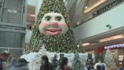 Nova Scotians Invited to Wake Up Woody the Talking Christmas Tree
