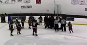 OMHA Probes Youth Hockey Coaches Confrontation After Lakeshore Game