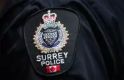 One Person Hospitalized After Car Crashes Into Tree in Surrey