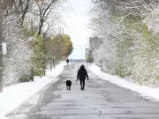 Ottawa's First Snowfall Sets Record But Won't Last, Says Climatologist