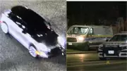 Peel Police Hunt Mini Cooper in Fatal Mississauga Hit-and-Run